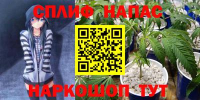 гашик Анапа
