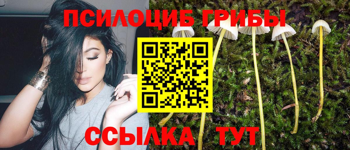 Галлюциногенные грибы прущие грибы  Псилоцибиновые грибы Cubensis  Вход с VPN  Светлоград 